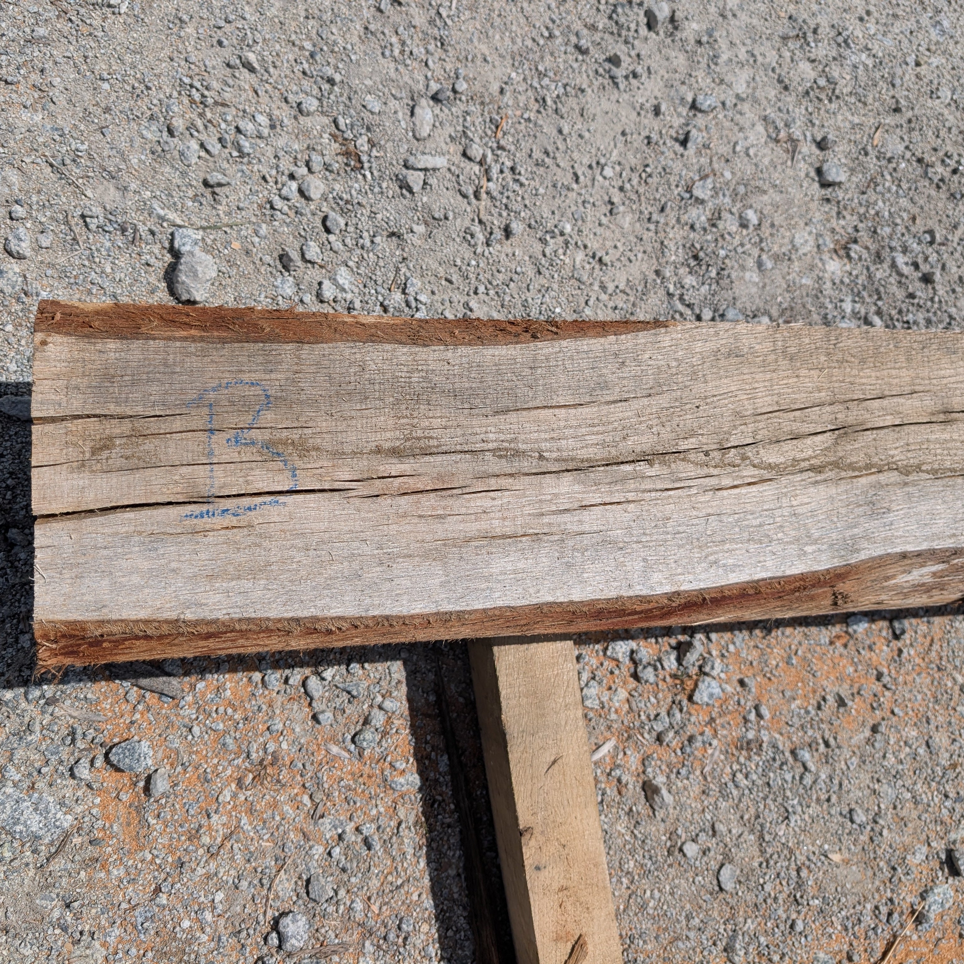 Détail de traverse paysagère en chêne bocagère 10 x 20 du Massif central. Origine et transformation locale.